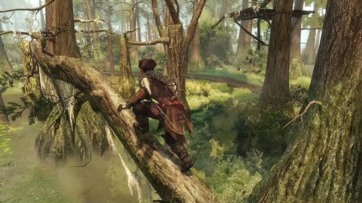 Assassins Creed III Remastered Screenshot 3