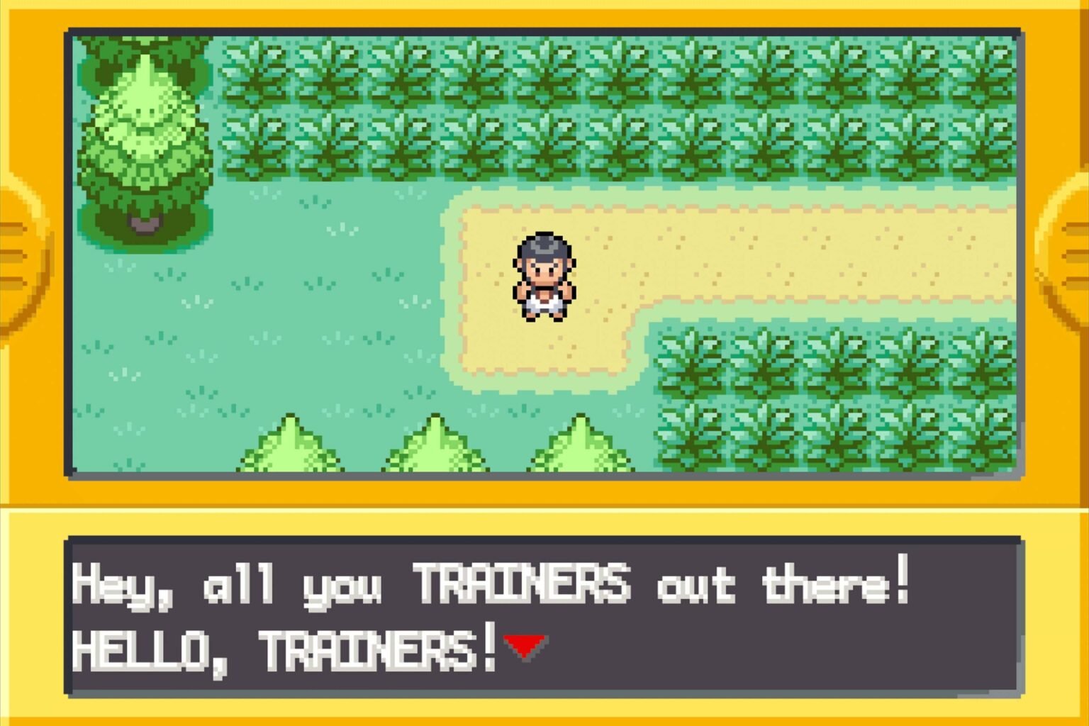 Pokemon FireRed and LeafGreen Screenshot 2